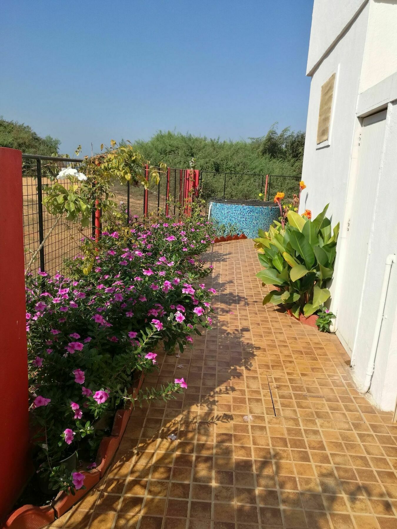 Sea Pearl Guesthouse Candolim Esterno foto